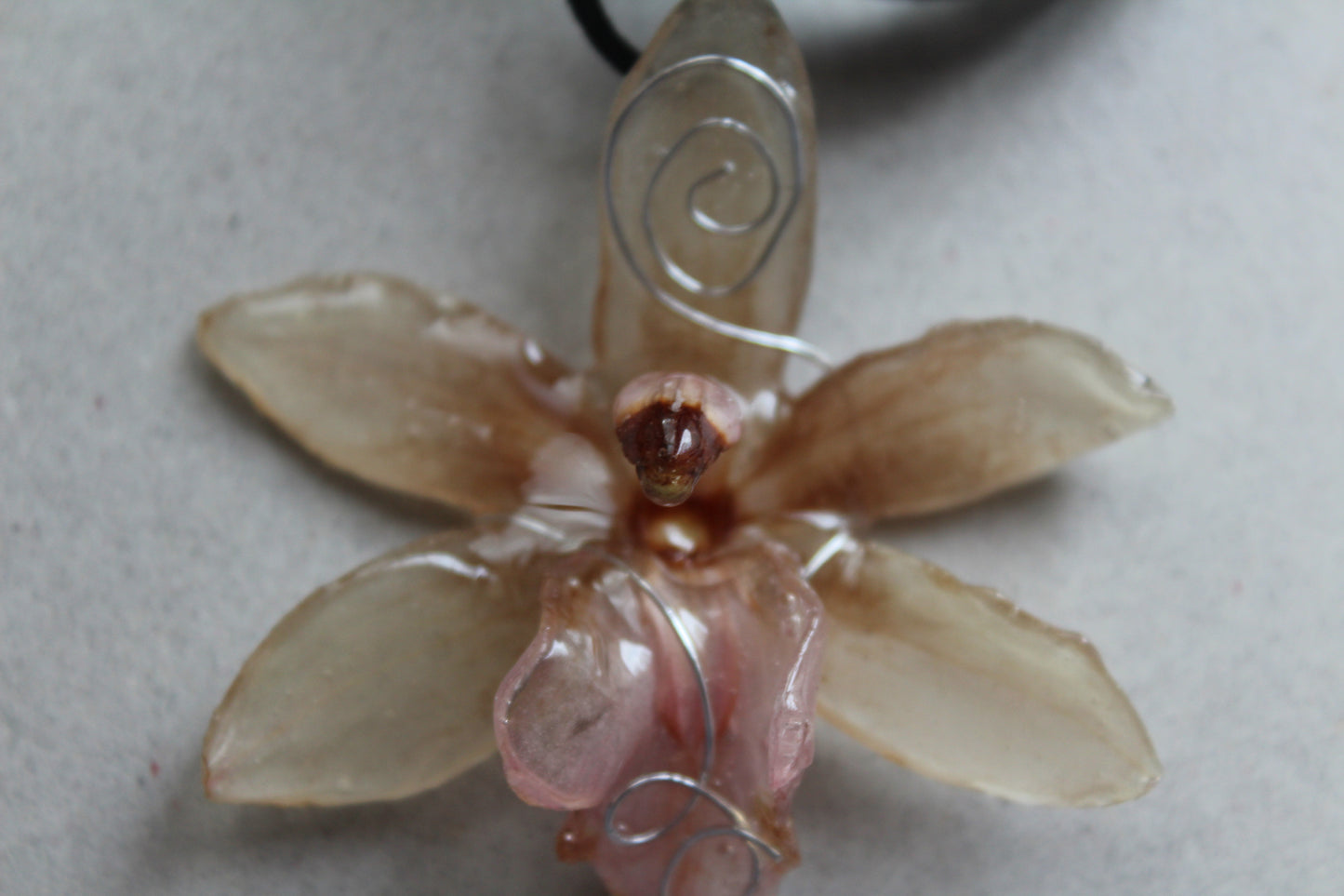 'Camurça' preta com Orquídea Cymbidium rosa e branca