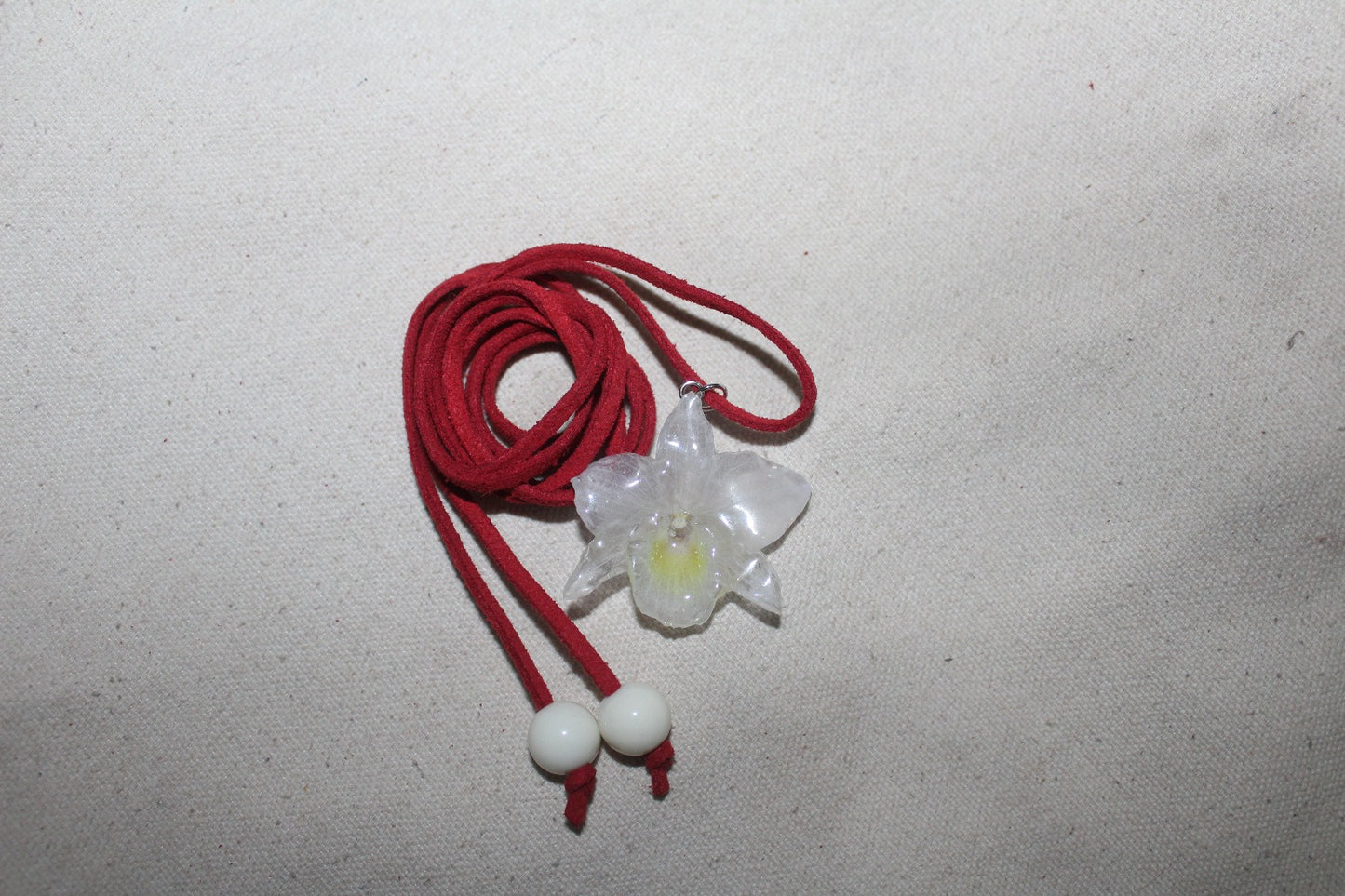 'Camurça' Vermelha com Orquídea Dendrobium Branca