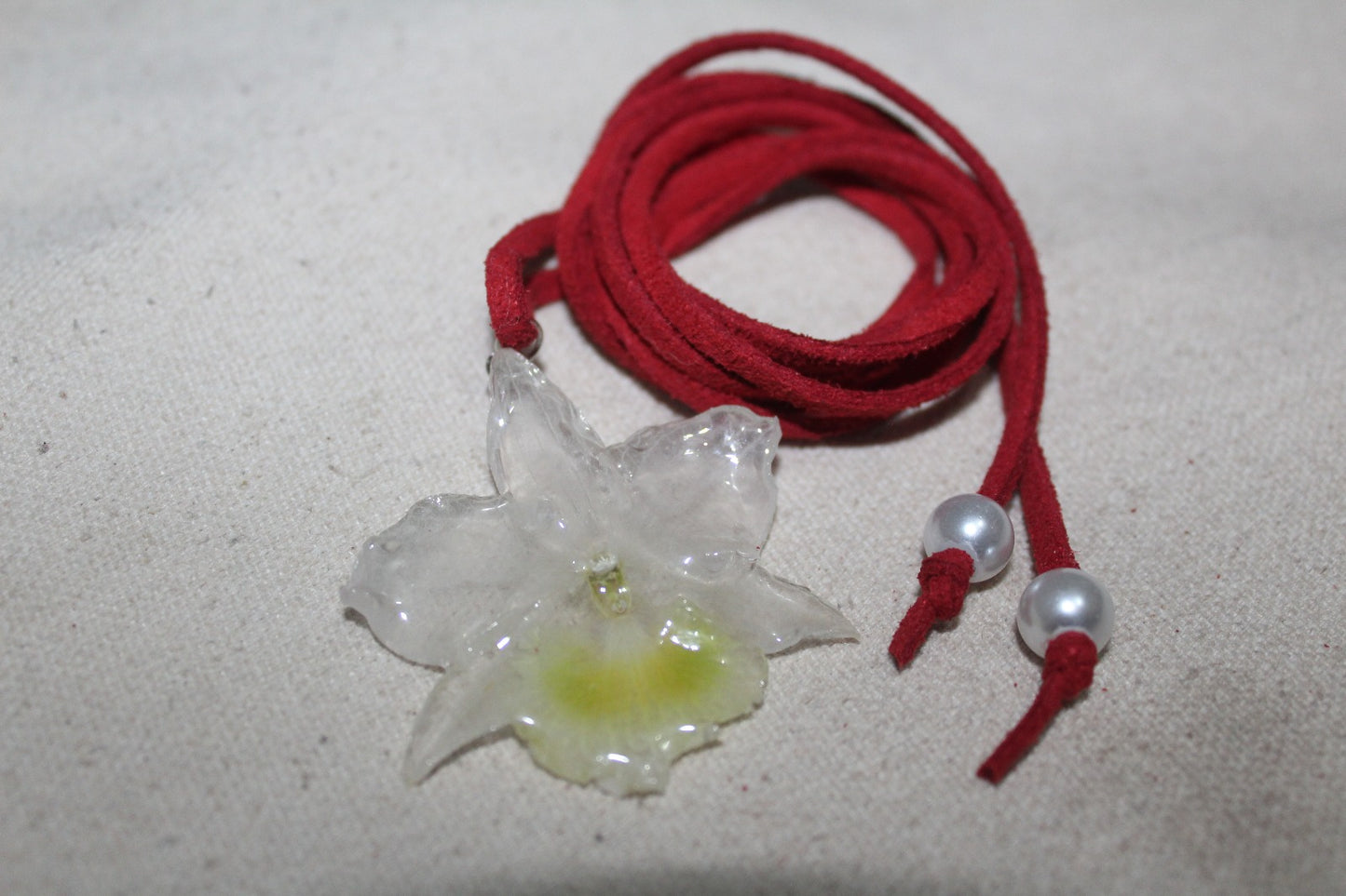 'Camurça' Vermelha com Orquídea Dendrobium Branca