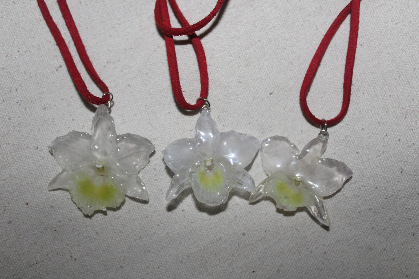 'Camurça' Vermelha com Orquídea Dendrobium Branca